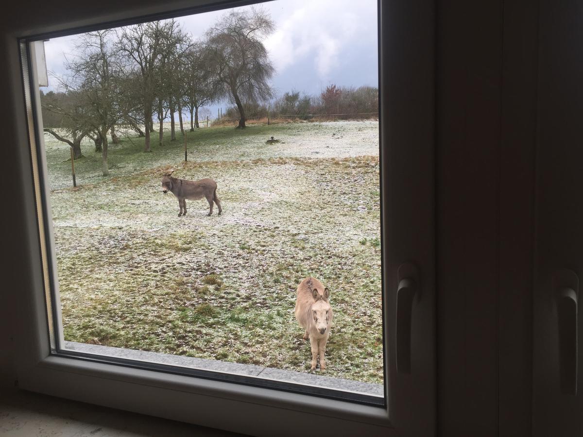 Hotel Am Rossberg Altenahr Bagian luar foto